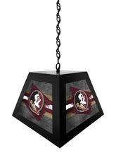 Load image into Gallery viewer, Florida State University NCAA Backlit Pendant Box Light – Black