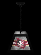 Load image into Gallery viewer, Florida State University NCAA Backlit Pendant Box Light – Black