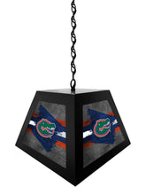 Load image into Gallery viewer, University of Florida NCAA Backlit Pendant Box Light – Black