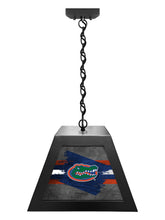 Load image into Gallery viewer, University of Florida NCAA Backlit Pendant Box Light – Black