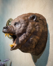 Load image into Gallery viewer, Hand-Carved Walnut Bear Wall Mount | Luxury Rustic Lodge &amp; ManCave Decor