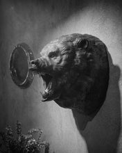 Load image into Gallery viewer, Hand-Carved Walnut Bear Wall Mount | Luxury Rustic Lodge &amp; ManCave Decor
