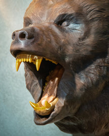 Hand-Carved Walnut Bear Wall Mount | Luxury Rustic Lodge & ManCave Decor