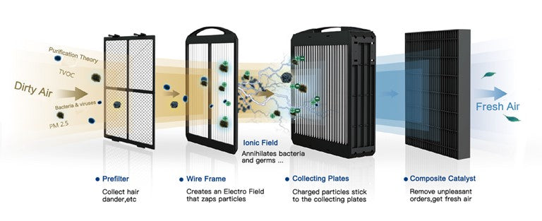 Airdog Purifier Medical Office and Home