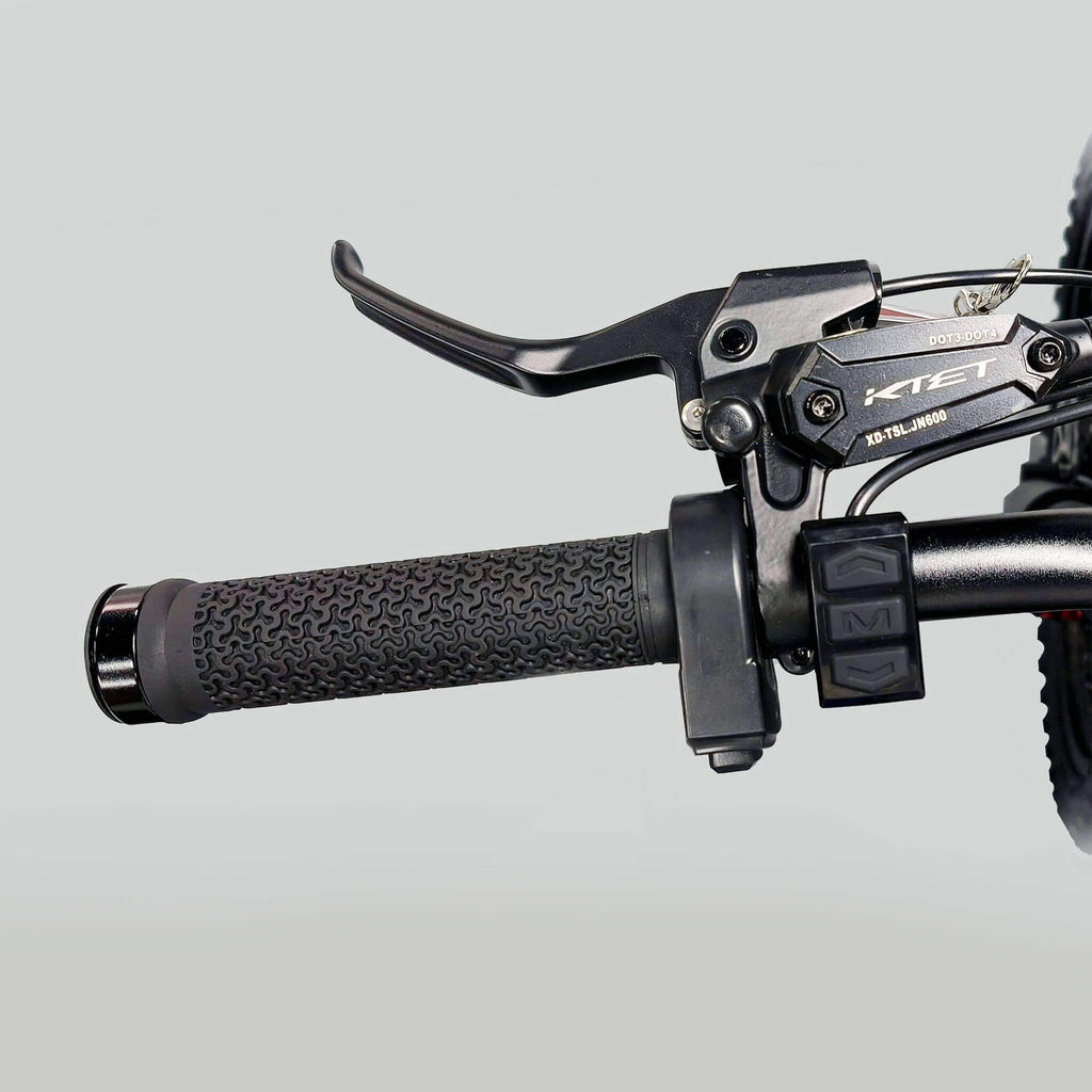 Coswheel R19 6000W High-Performance Electric Dirt Bike