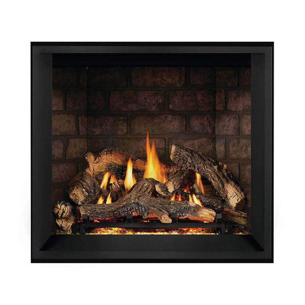 Napoleon Elevation Direct Vent Fireplace With Tempered Glass