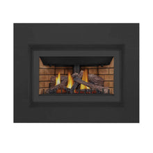 Load image into Gallery viewer, Napoleon Inspiration ZC 36" Direct Vent Natural Gas Fireplace Insert